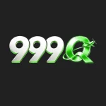 999q game