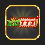 xd777 game